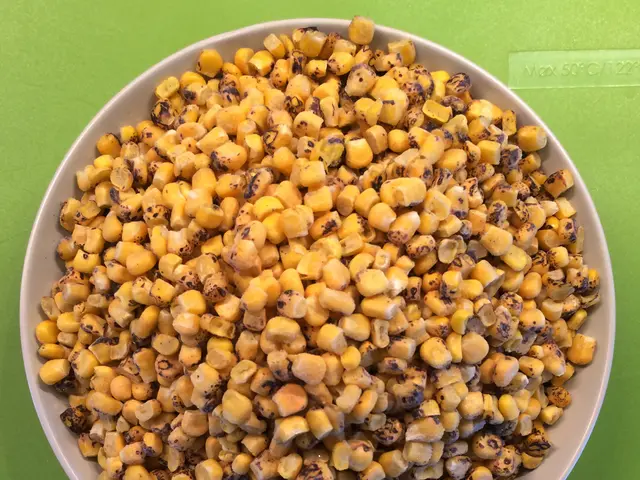 California Grower Boosts Cannabis Yield by 20% through Scientific Nutrition Approach