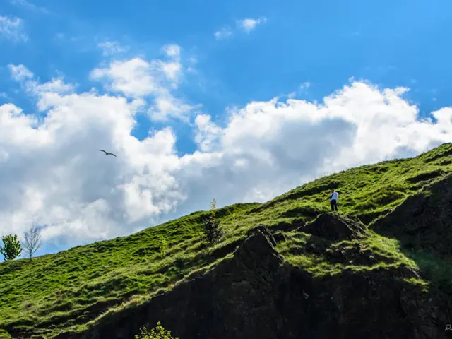 Individual in Sakha Taiga wilderness seeks assistance from local population