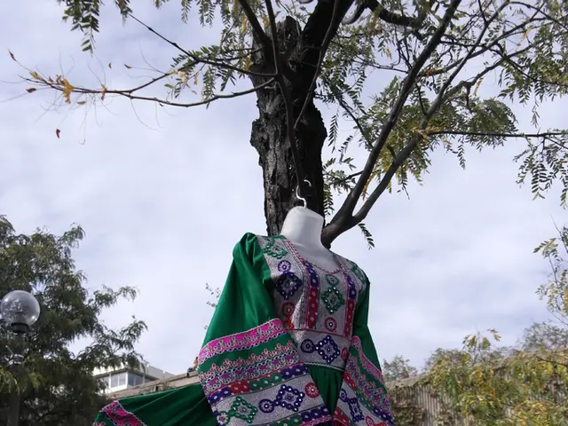 Lost wedding dress up for grabs - brides-to-be on the lookout!