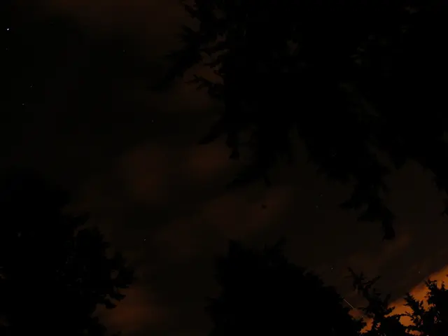 Nightly, Starlit, Lunar, and Dusky Child Titles That Sparkle with Meaning