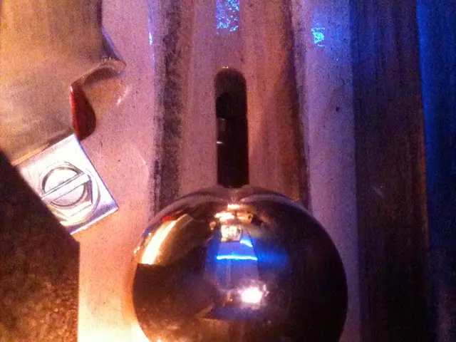 Candidate's removal through voting will lead to the annulment of the vote