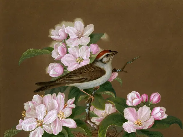 Unveiling the Blue Crow: An In-Depth Look at This Mysterious Creature