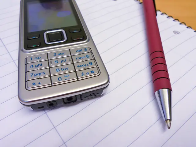 Onyx Boox is developing the Palma smartphone