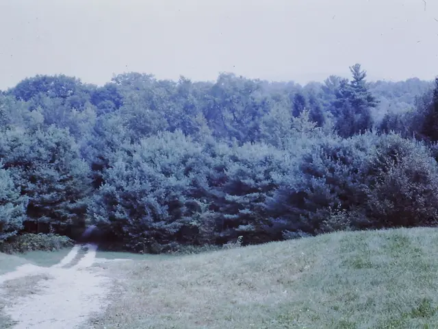 Video Exclusive: One-on-One Interview with Clara Gerlach on Our Site