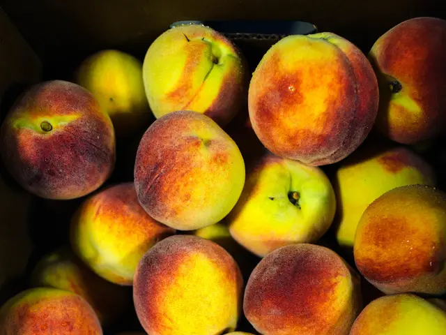 Tech Giant Apple Temporarily Halts Collaboration with Hardware Manufacturer Due to Worker...