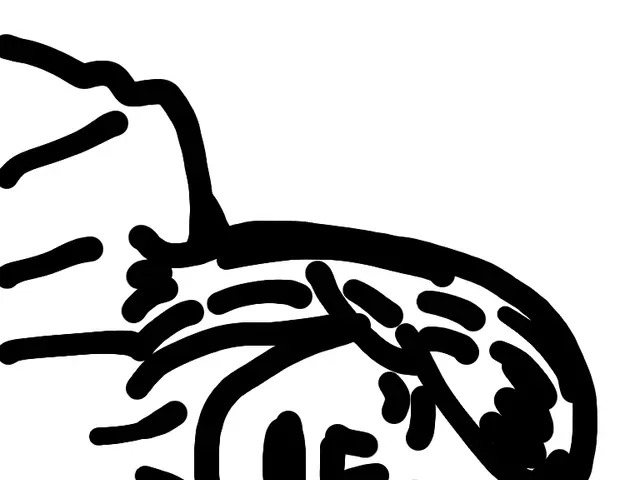 "Felicity Jones, Labeled for Being Harsh or Rigid in her Character and Actions"