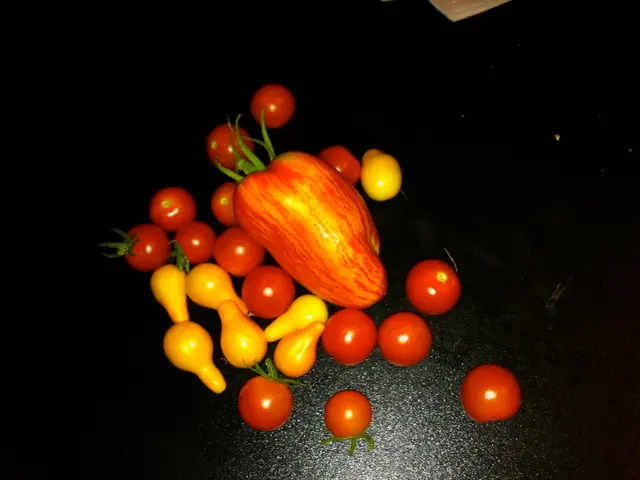 Gathering Fruits and Berries at Their Optimal Ripeness