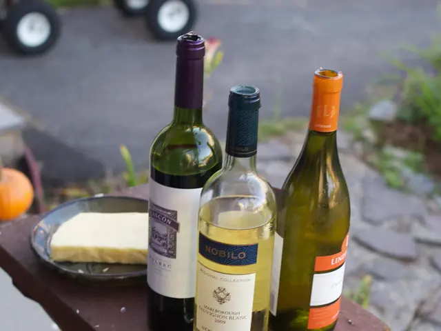 Outdoor Chemistry Project Ideas for Home Education That Ignite Curiosity