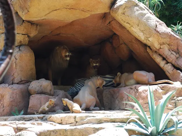 Mysterious Caves Arose Without Geological Forces or Human Intervention