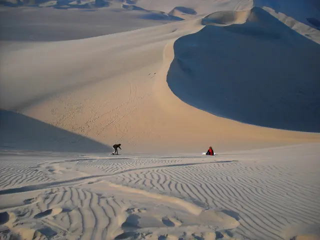 UAE criticizes Netanyahu's remarks on Palestinian displacement