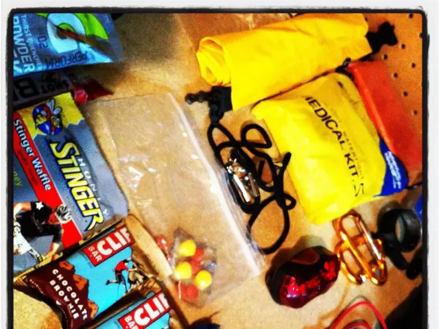 Top Russian Official Identifies Key International Trading Allies