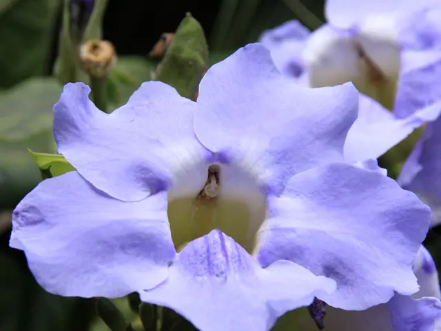 Transformative Mornings: The Little-Known Secret Hidden in Your Pre-8 AM Routine Promise to...