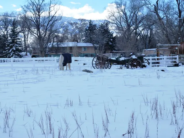 "Fort Apache": Insights into John Ford's Film, a Real-Life Account, and a Perilous Pregnancy Saga