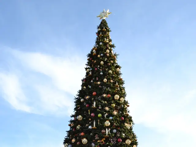 Marks & Spencer discreetly launched its Christmas merchandise, with these dozen whimsical ornaments...