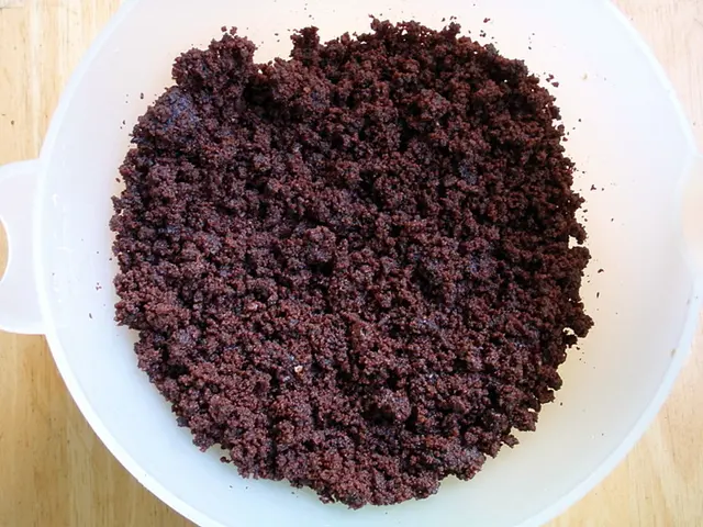 Nineteen-Year-Old Delivers Impactful Insight into Unseen Ailments