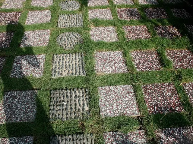 Selecting the Ideal Material for Your Vehicle's Driveway Incline!