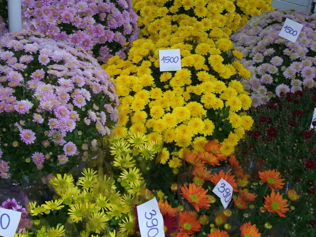 Springtime community gathering in Rönneburg, featuring a flea market event