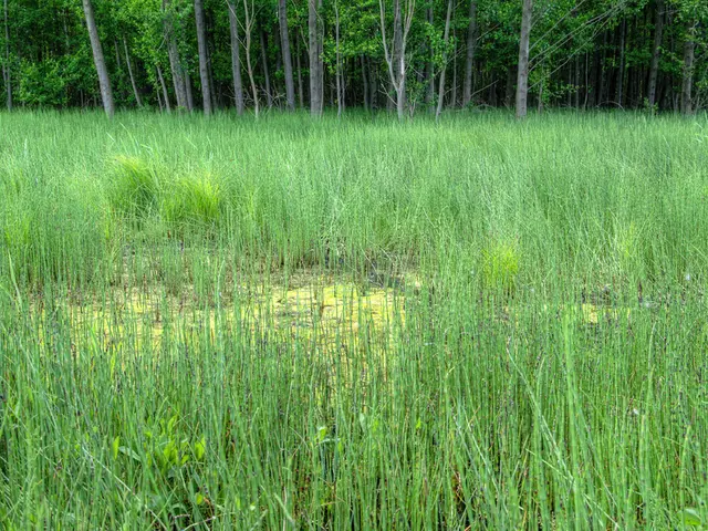 Farming and Crop Production Sector Coverage