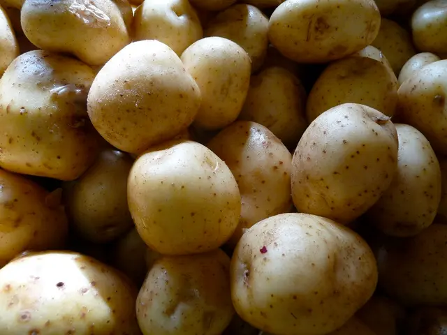 Kazakhstan has removed its restriction on sending potatoes abroad