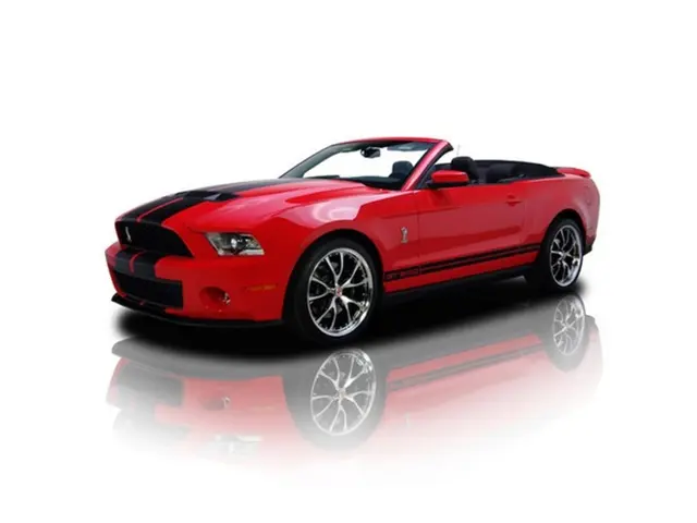 Protest in Sendenhorst Focuses on a Black Ford Tourneo Custom