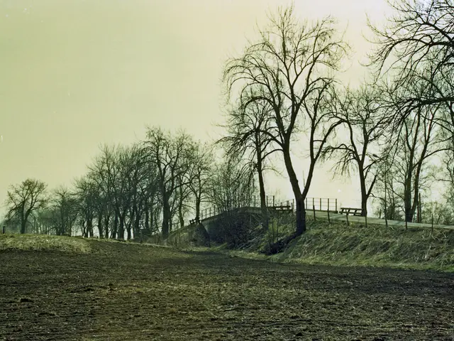 Commemorative Photos Highlight the Conclusion of Hunting Season in Höxter County