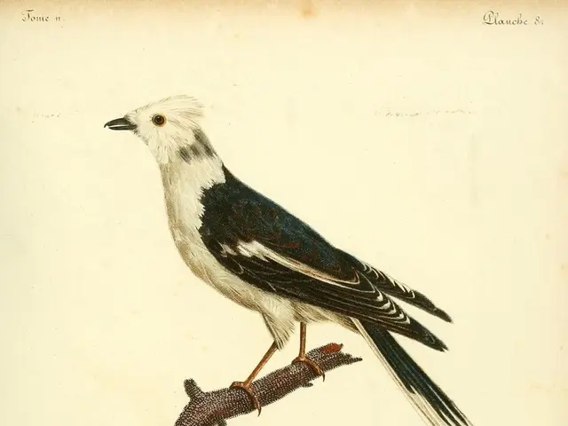 Timeless Insights from Ben Franklin on Wealth and Achievement: Advice for Accumulating Wealth and...