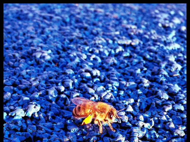 SSD manufacturer Phison clears suspicion following Windows 11 bricking fears, with 4,500 hours of...