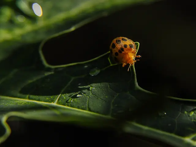 Unveiled Public Leak of Severe SAP NetWeaver Vulnerability