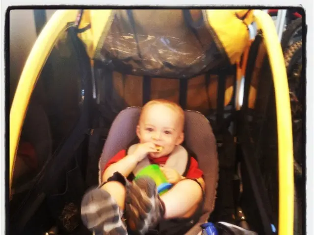 Restoring functional immune system in the brain following prenatal exposure to environmental...