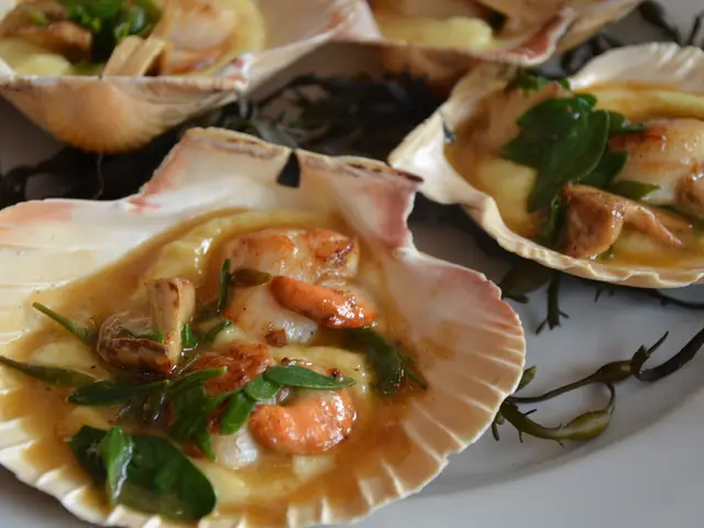 11 Filled Shell Recipes Suitable for Evening Meals