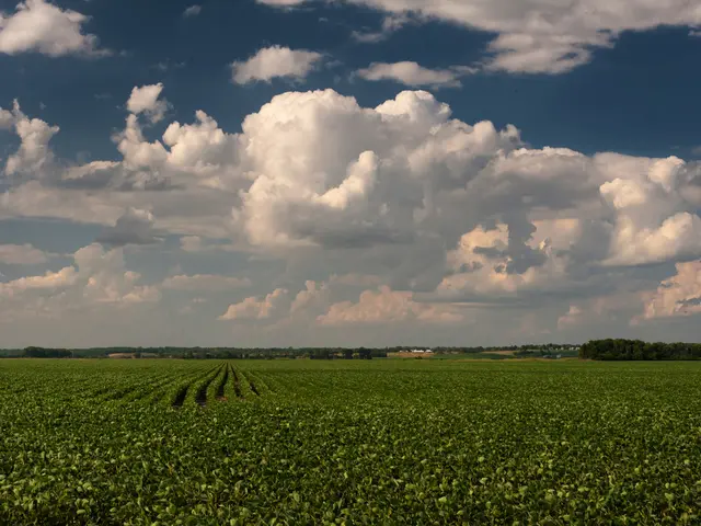 Love and Deception in Climate Matters on Online Dating Platforms