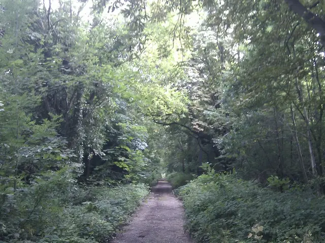 Reconsidering Highways Inspired by Crustacean Migration Patterns