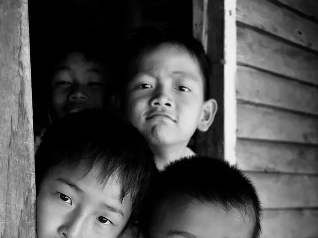 School Vandalism Incidents within EU Political Territories