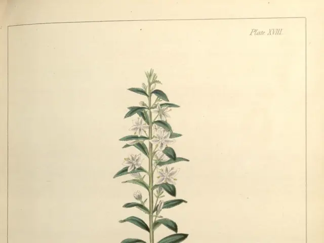 "Jessica J. Lee's nature writing holds an underlying activist agenda."