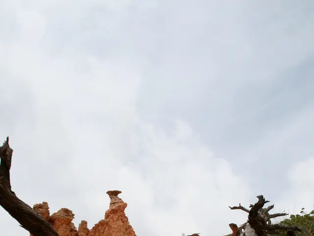 On Monday (08), Senator Canedo anticipates a bright and sunny day