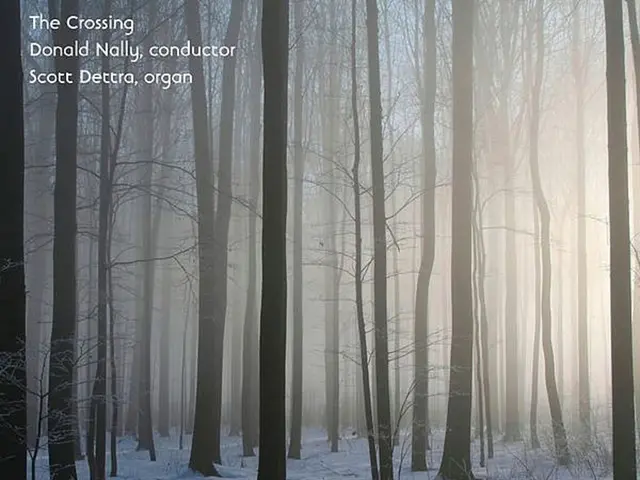 Expensive fir trees due to frost, drought, and increased costs