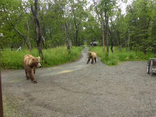 Strengthening Your Core and Enhancing Mobility with This Trainer's Unconventional Sit-up...