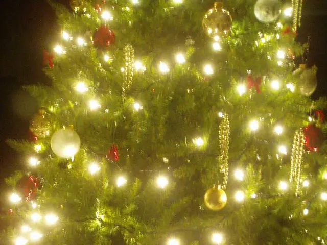 Experts Reveal the Optimal Quantity of Christmas Lights for Decorating a Tree