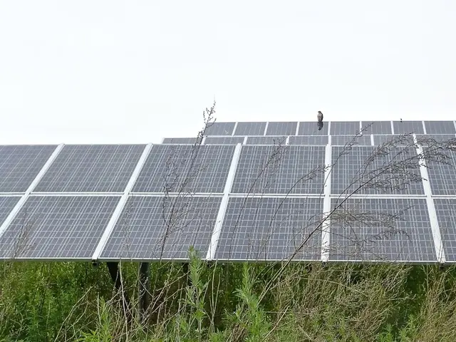 Solar Heat Waves Impact Solar Power Systems, Leading to Energy Losses