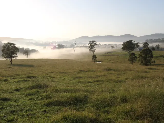 Practical, Easy-Care Ideas for Landscaping a Sloping Property