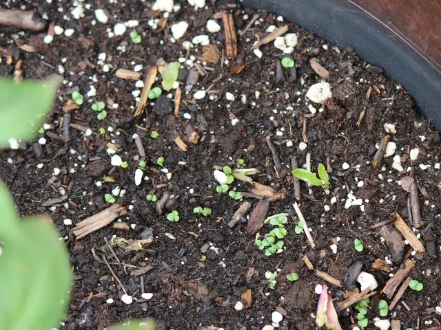 Avoid Hunger in Your Soil