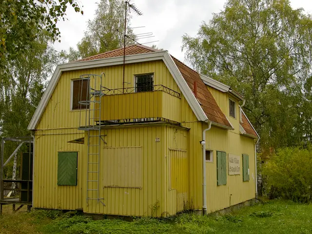 Starlink allows for the acquisition of light mobile phones through frequency purchasing