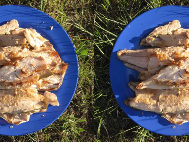 EU Supporting Global First Farm for Lab-Grown Meat Cultivation