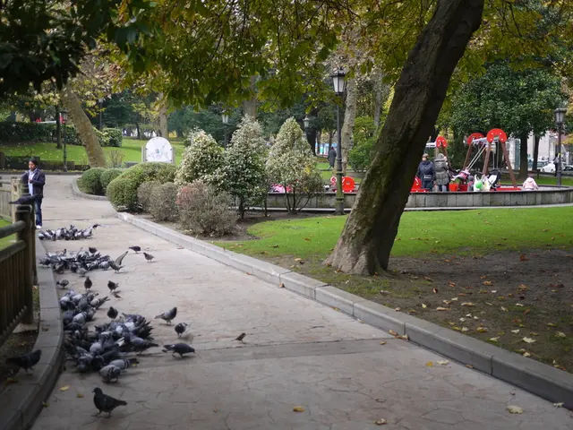 Construction completed on animal stable at Batenbrock's adventure playground, providing additional...