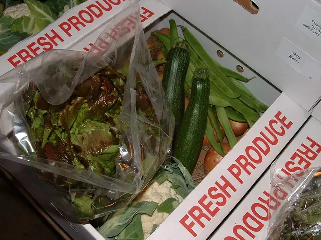 The Importance of Including Arugula in Your Diet