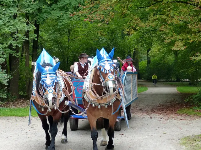 Man from Quarryville tailgates horse-drawn buggy, causing collision as per state police reports