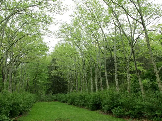 Businesses promoting natural growth in Suffolk