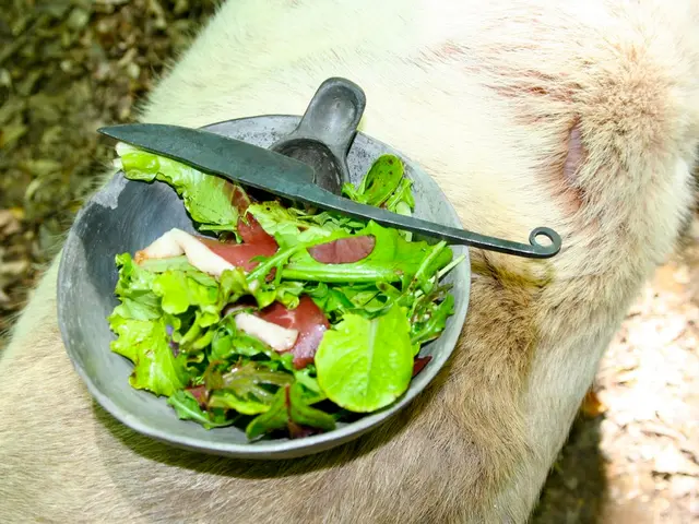 Errors in healing from hemorrhoids that prolong your discomfort?