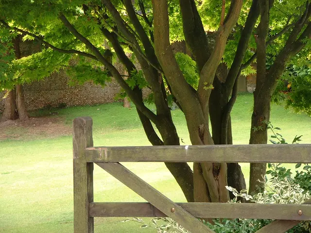 Singapore and China deepen collaboration on eco-friendly financial initiatives