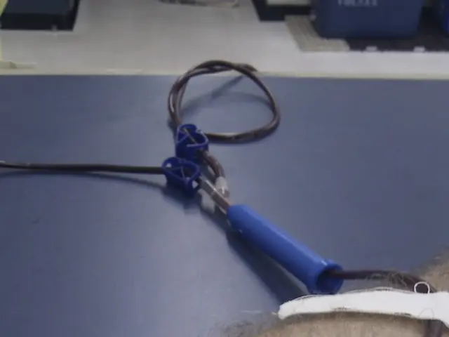 Medical school director at University of Porto's assessment standards rectified by university...